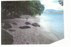 Mauritius - Balaclava Beach - Water Front Vacant Land - Online Auction