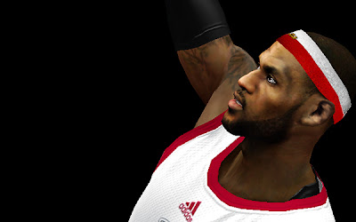 NBA 2K13 LeBron James Cyberface w/ Customized Headband