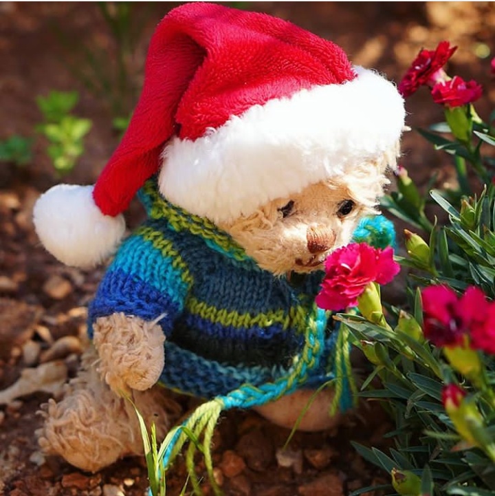 Happy Teddy Day Images For Whatsapp Status Teddy Bear Dpz For Whatsapp Fb Happy Teddybear Images Wishes