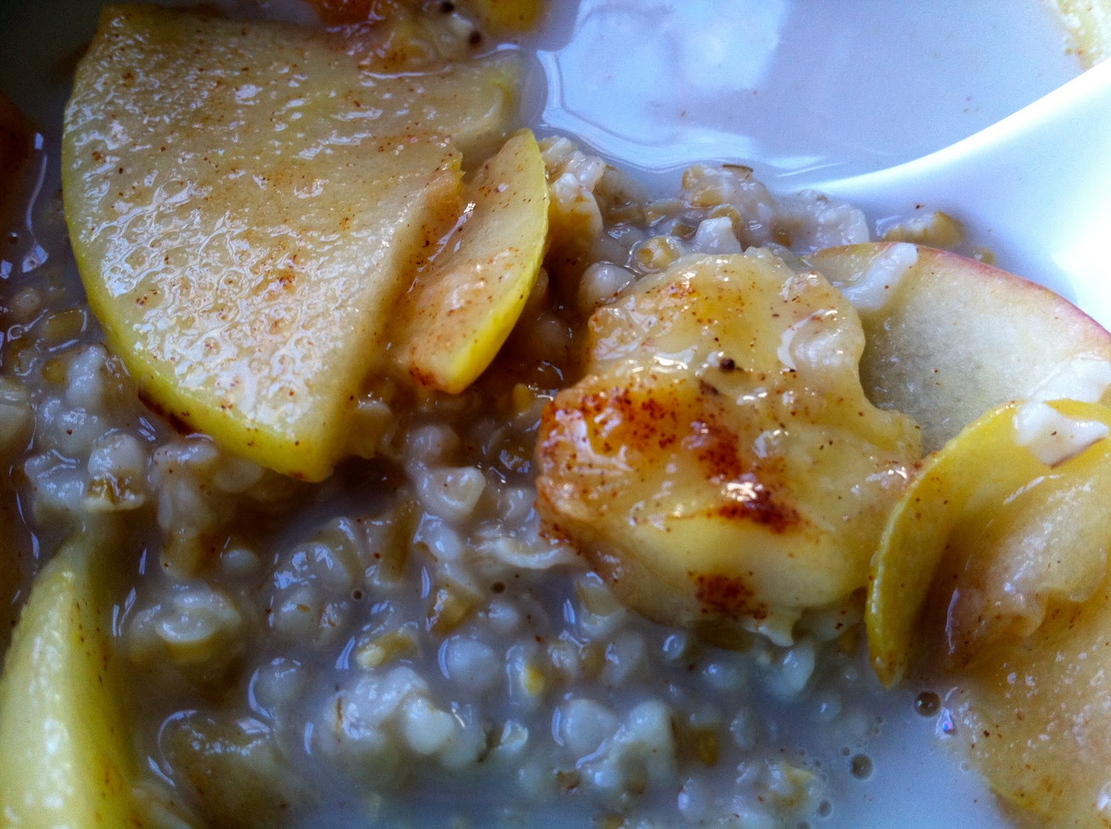 A Girl and her Food Processor Apple & Banana Oatmeal
