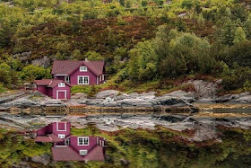 Beautiful Natural Scene