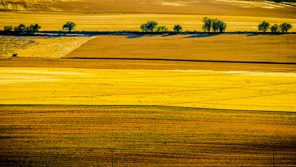 Campos de Castilla Caminamos