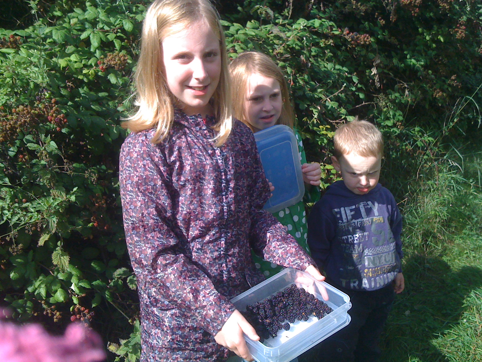 The Gourley Gang's Summer of Fun