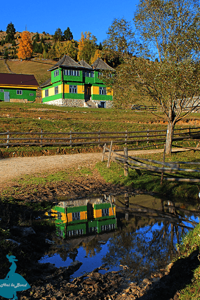 casa fundatica toamna 2015 casa fundatica toamna 2015