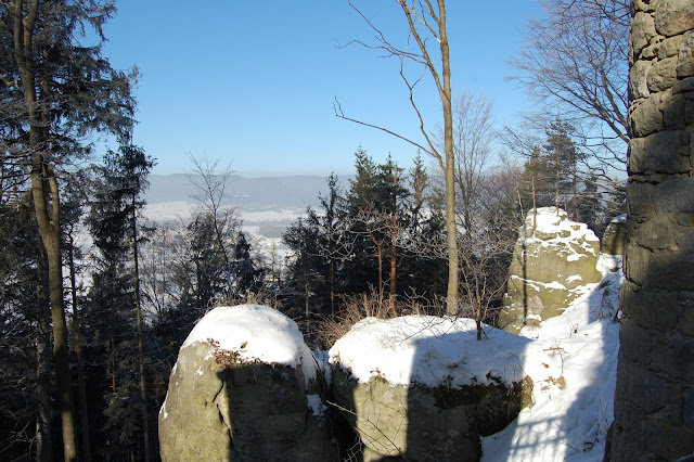 DSC_7396.JPG