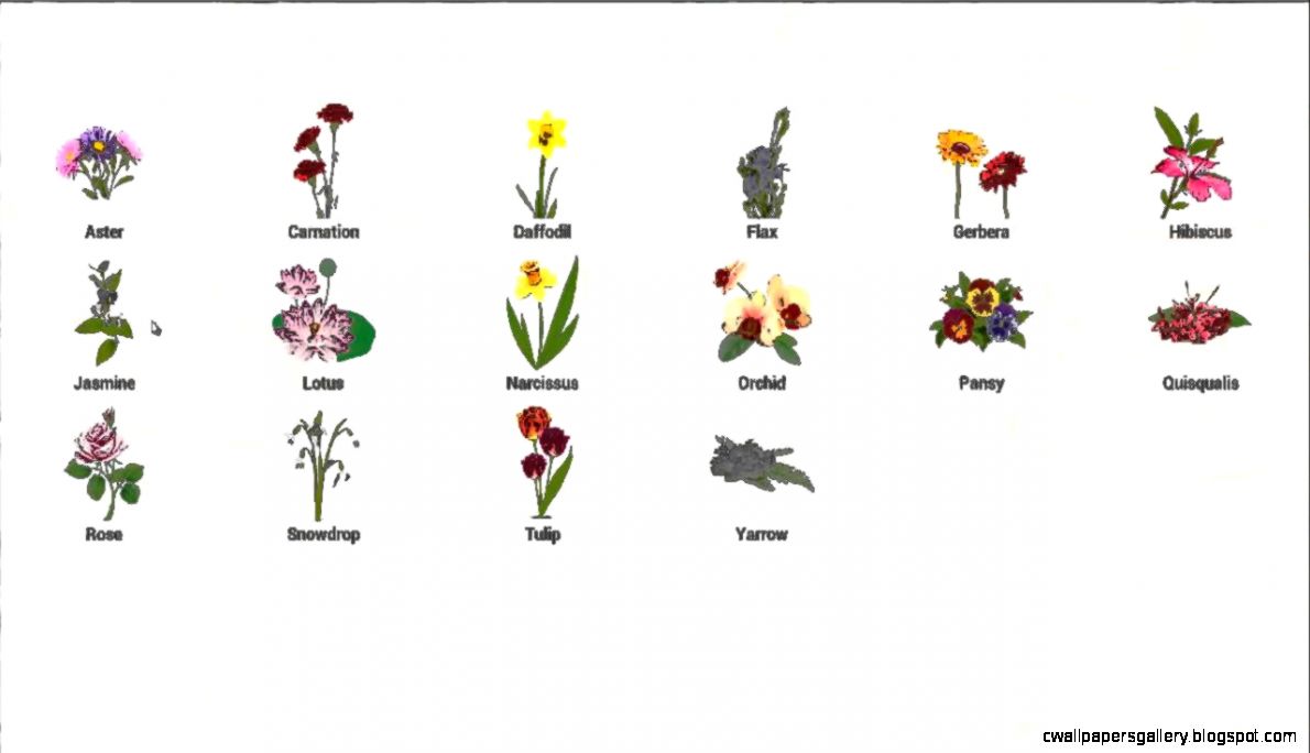 Images Of Flowers With Their Names | Wallpapers Gallery