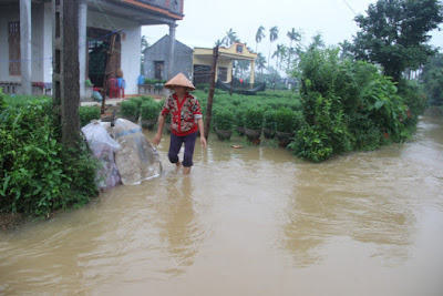 Hàng trăm hộ dân Quảng Ngãi sơ tán vì lũ, một người mất tích