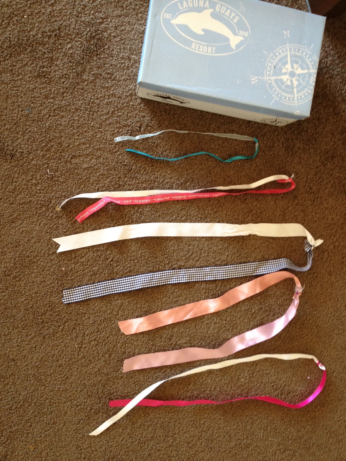 What do you do all day? Shoelace box