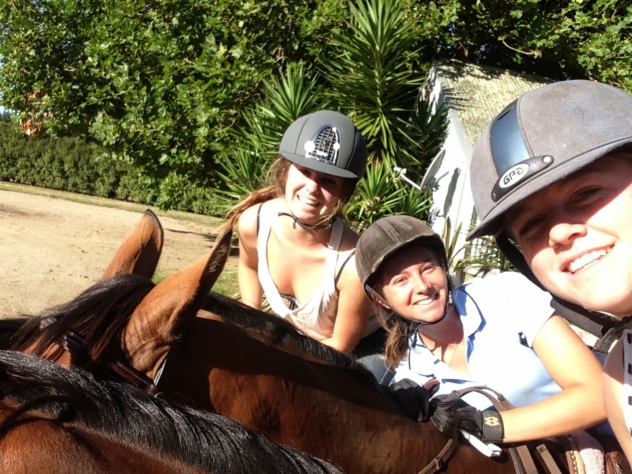 Sam Felton Eventing Rotorua Horse Trials