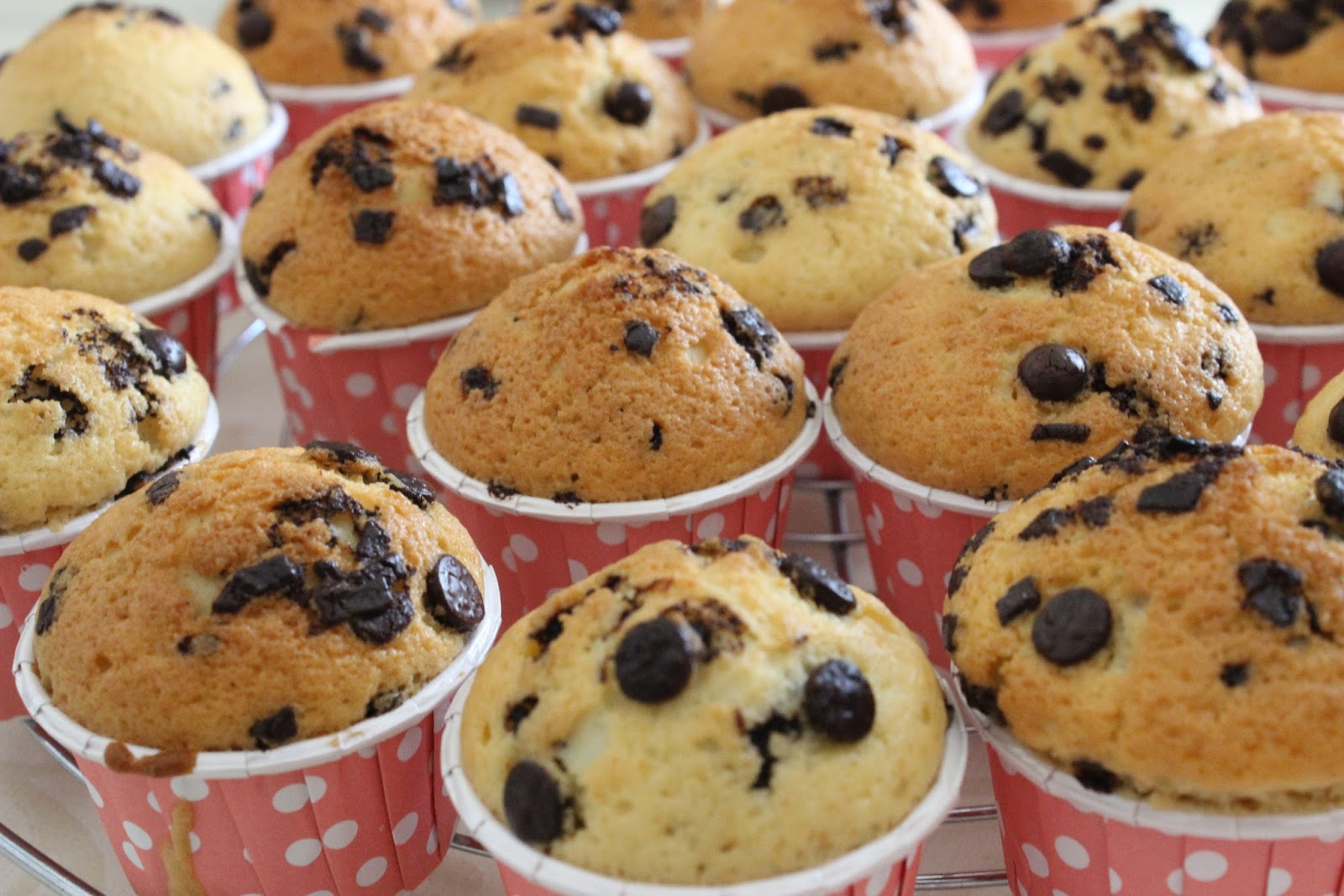 Stracciatellamuffins / Muffins mit Schokostückchen