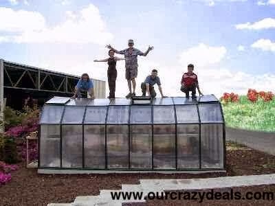 Sturdy Greenhouses: