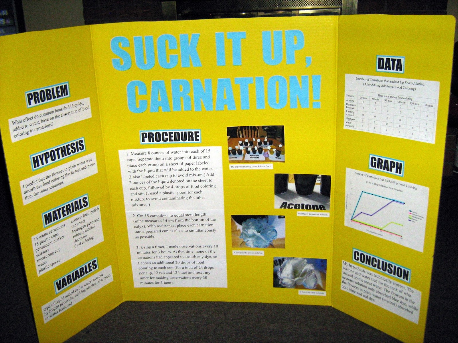 For The Love Of Sixth Grade Science Fair Help