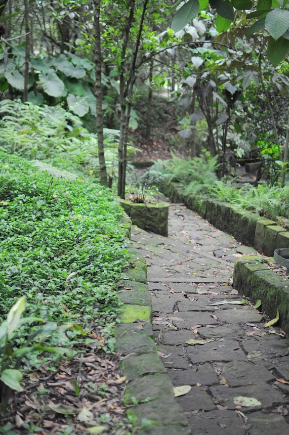 El Jardin Botánico es un sitio para hacer turismo en Bogotá