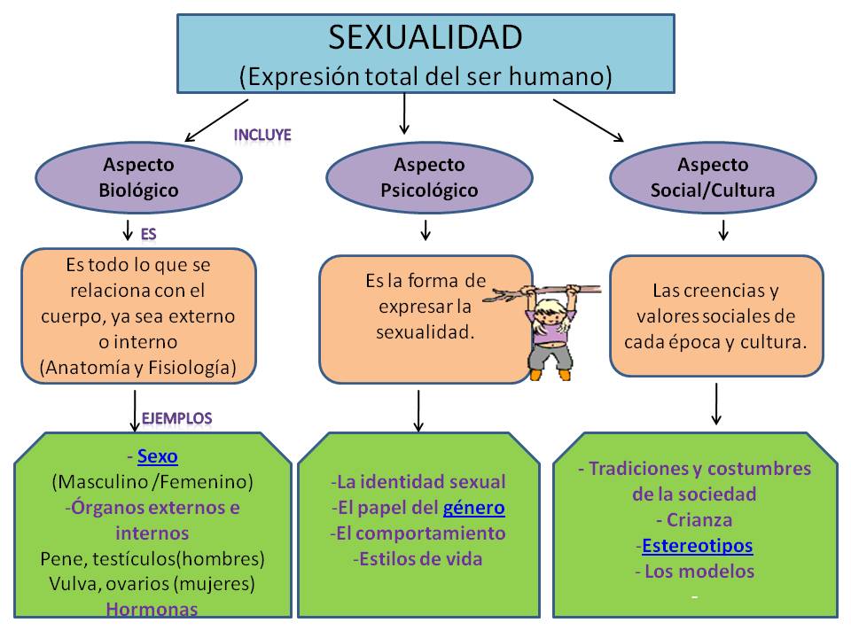 Tecnología y Educación Escuela Manuel Ruiz Gandía La Sexualidada humana