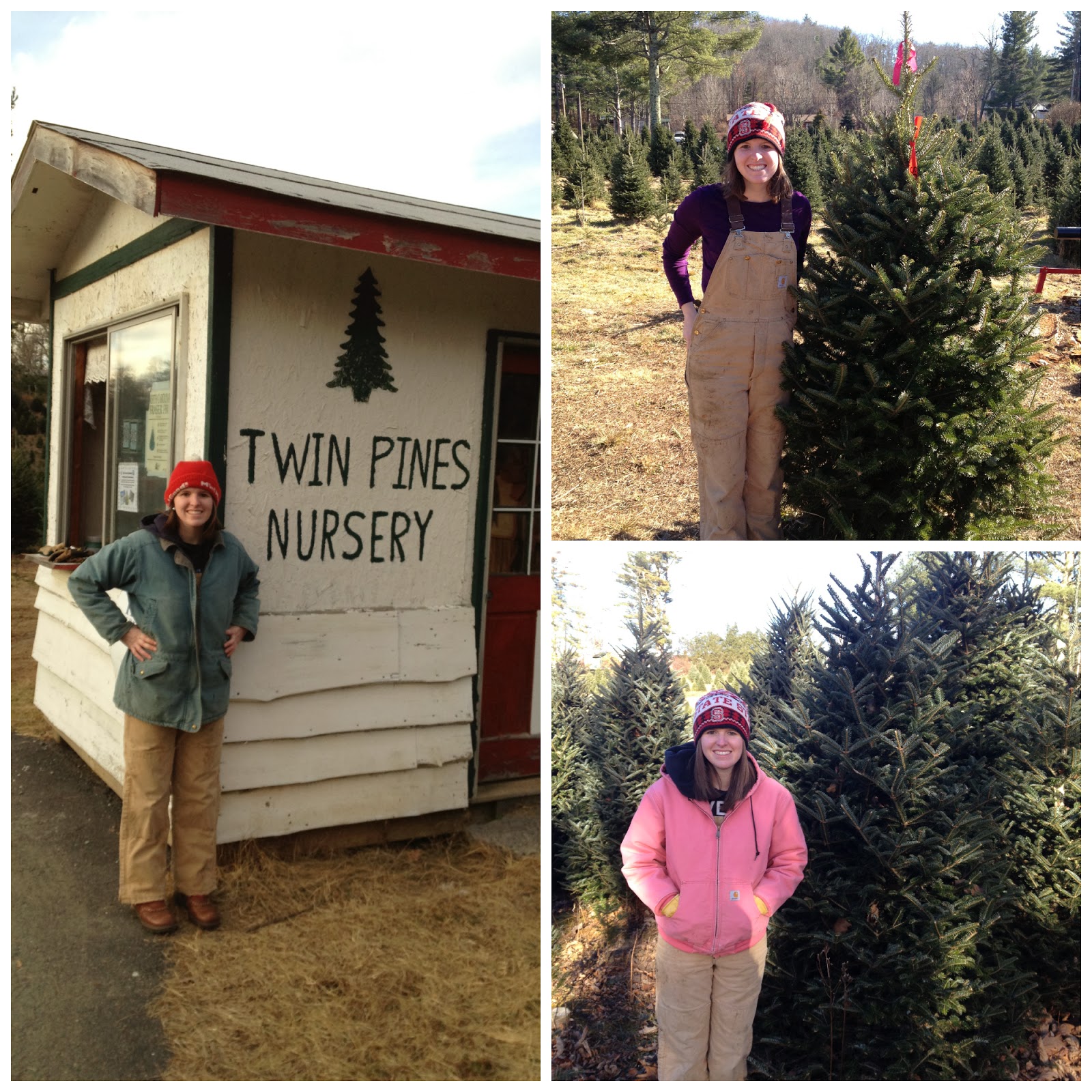 The Simple Life Blog Twin Pines Nursery A Christmas Tradition Here Are My Pictures From The Past 3 Years Left 2017 Right Top Bottom