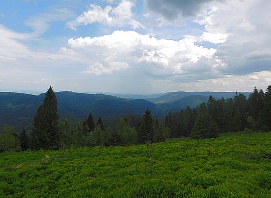 Dolina Wielkiej Puszczy. Z lewej wznosi się pasemko Bukowskie.