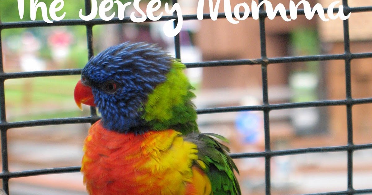 Discount Codes For Lehigh Valley Zoo