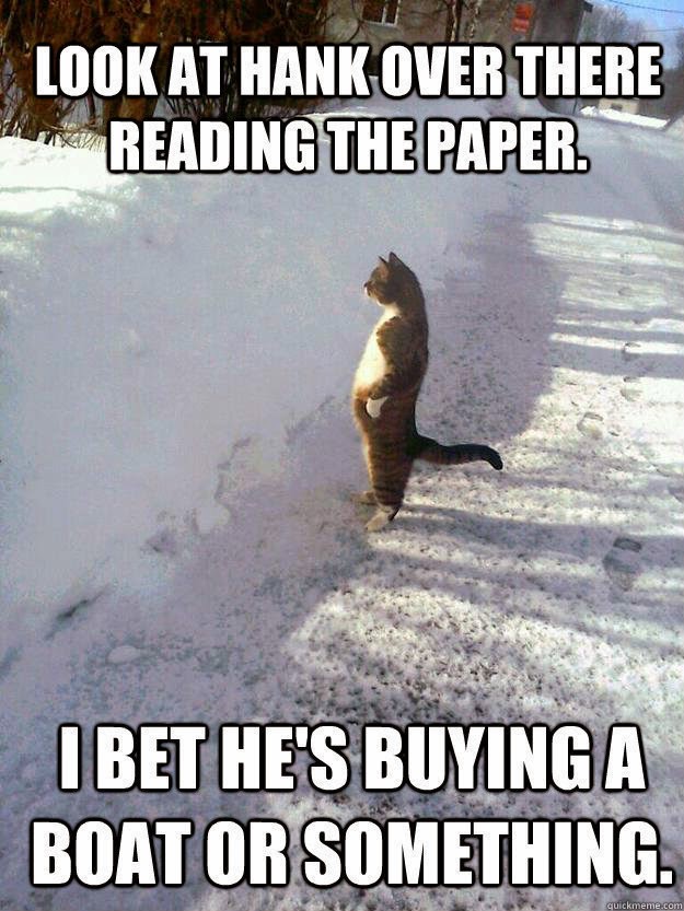 feline.jpg