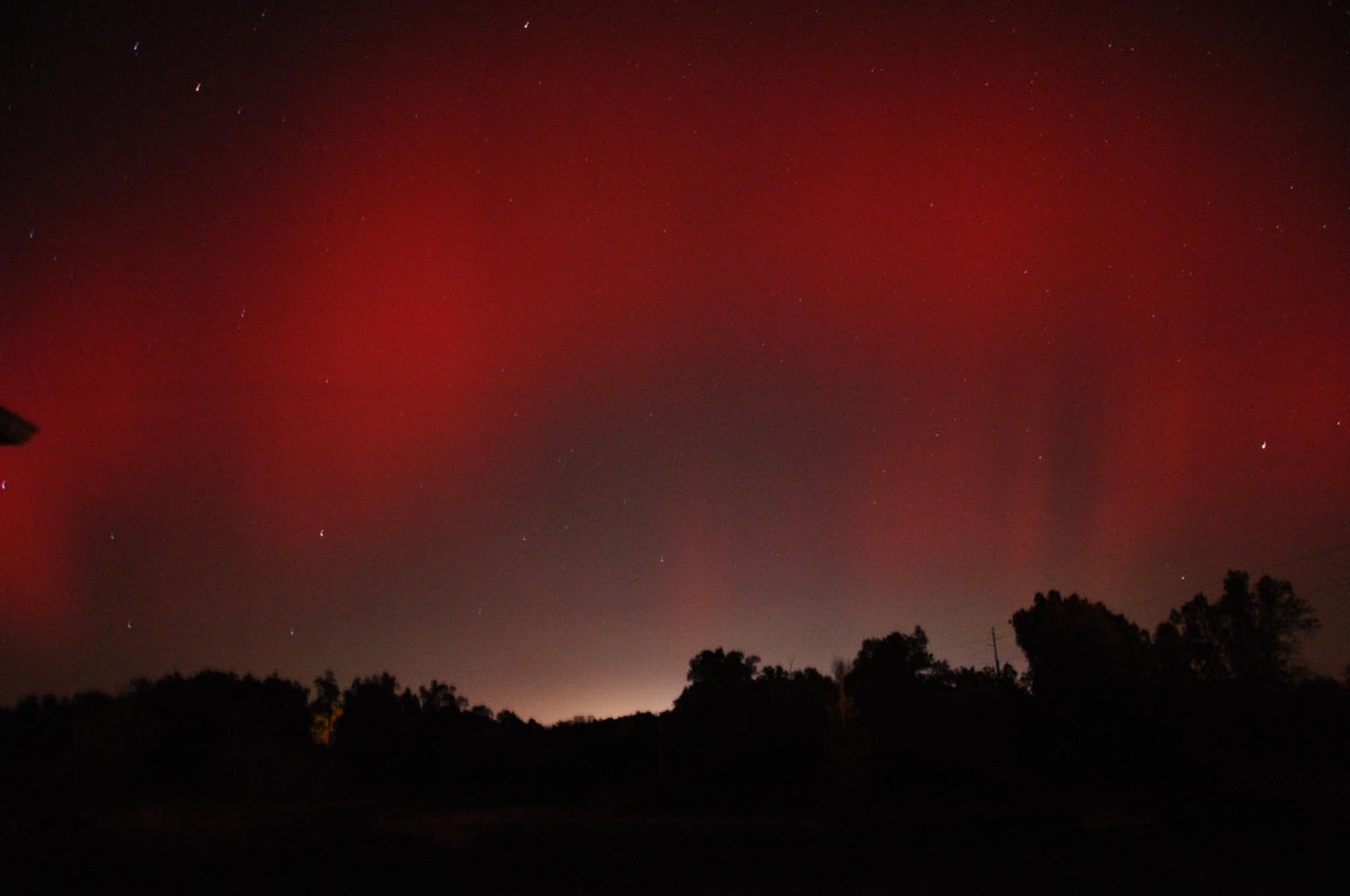Polymath Northern Lights in Arkansas?