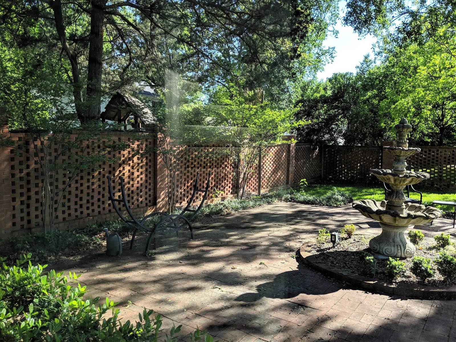 Future Plants By Randy Stewart Bayberries The Myrica Family