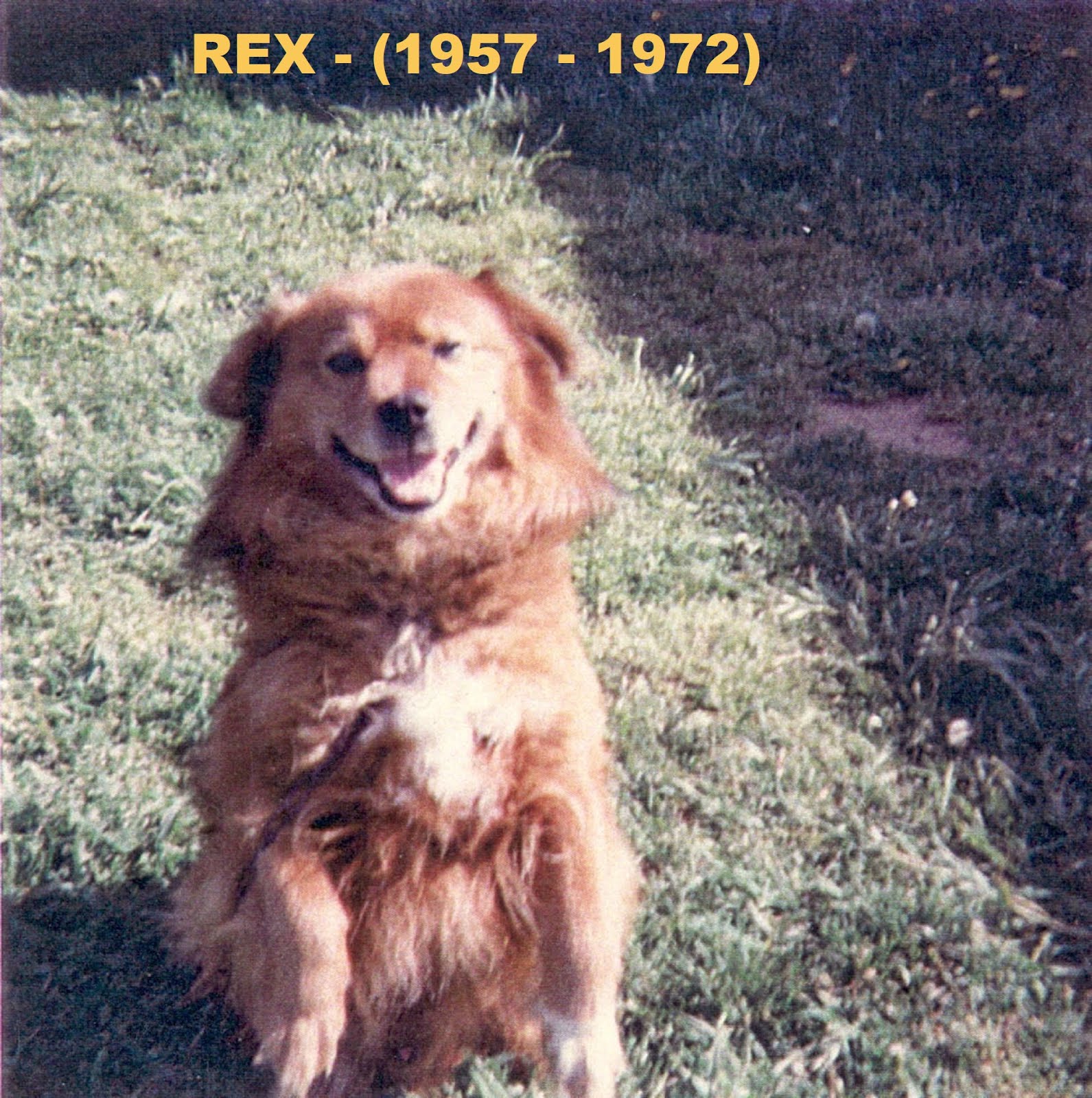 REX - (1957 - 1972)