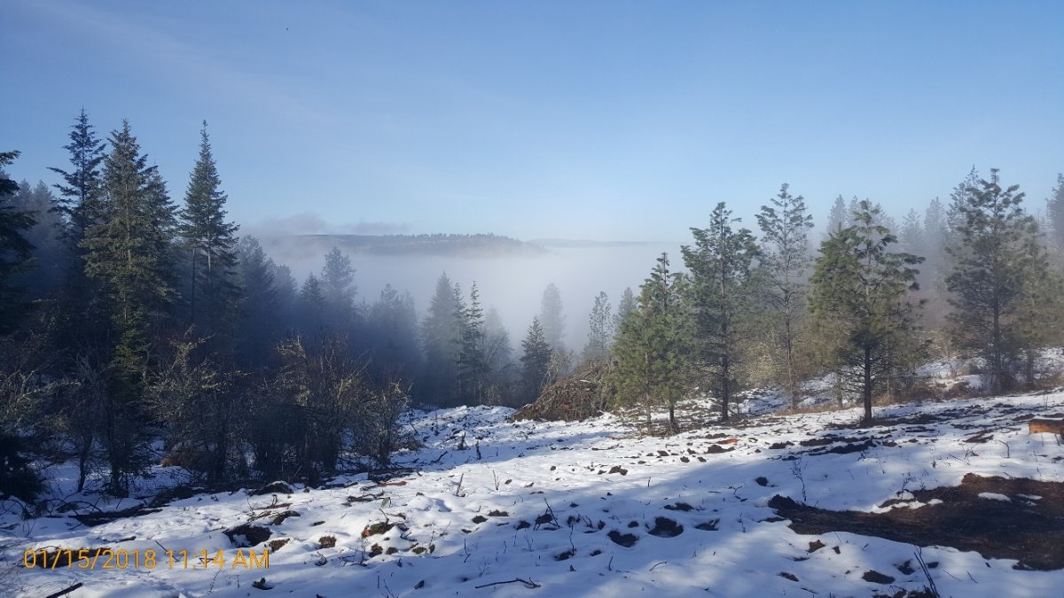 Northwest National Real Estate NEW LISTING! Rural Mountain Property