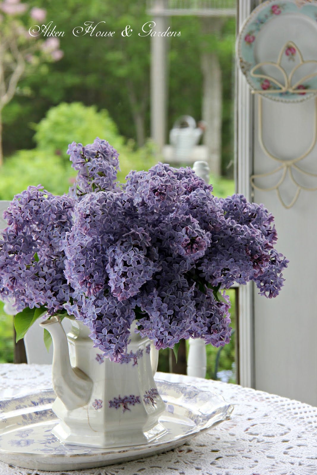 Aiken House & Gardens: It's Lilac Season in our Garden