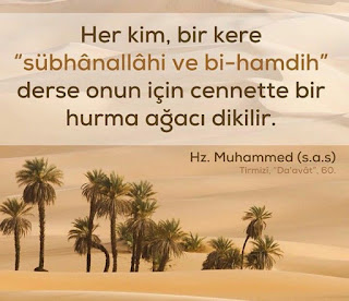 Hz. Muhammed (s.a.v) Resimli Sözleri