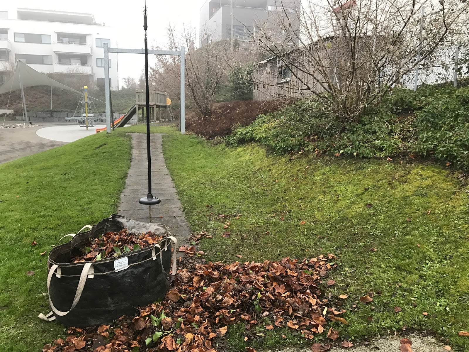 Praxisjahr 2016 17 Pammer Gerharter Schweiz 2016