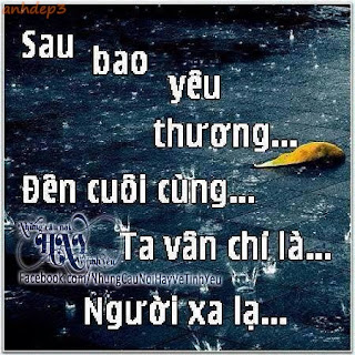 Những câu nói hay về tình yêu khi chia tay