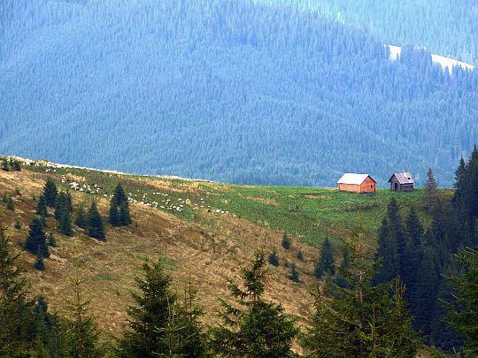 Koliby na Połoninie Łukowica.
