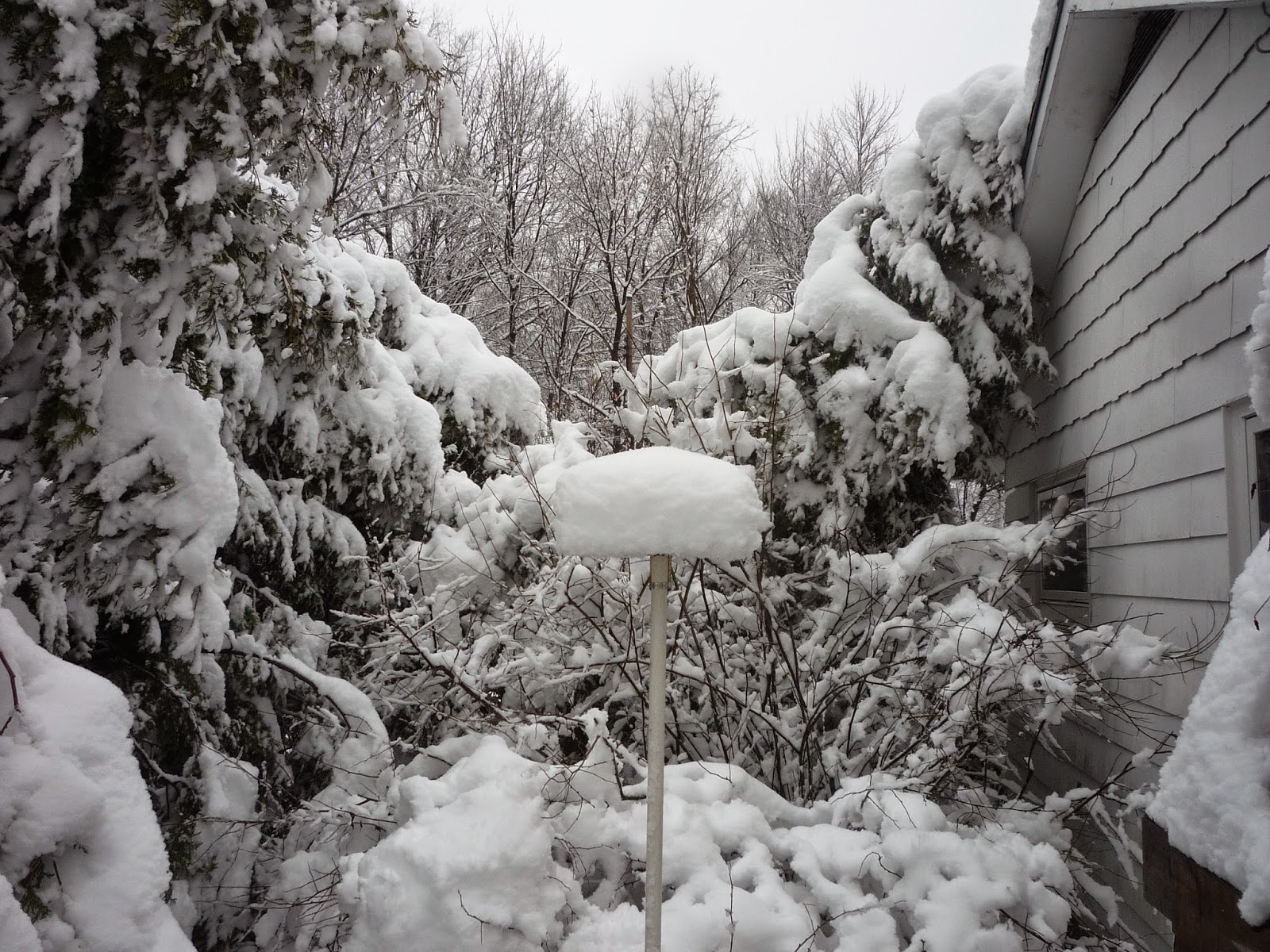 Weather in Vermont Dec 2014 Snowstorm South Burlington, Vermont