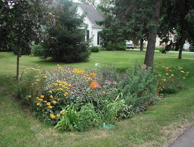 Berbagi info mengenal apa itu taman hujan  Nih Mengenal Apa Itu Taman Hujan (Rain Garden)