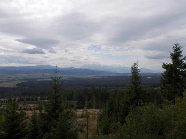 [Obrazek: DSCN0174.JPG]