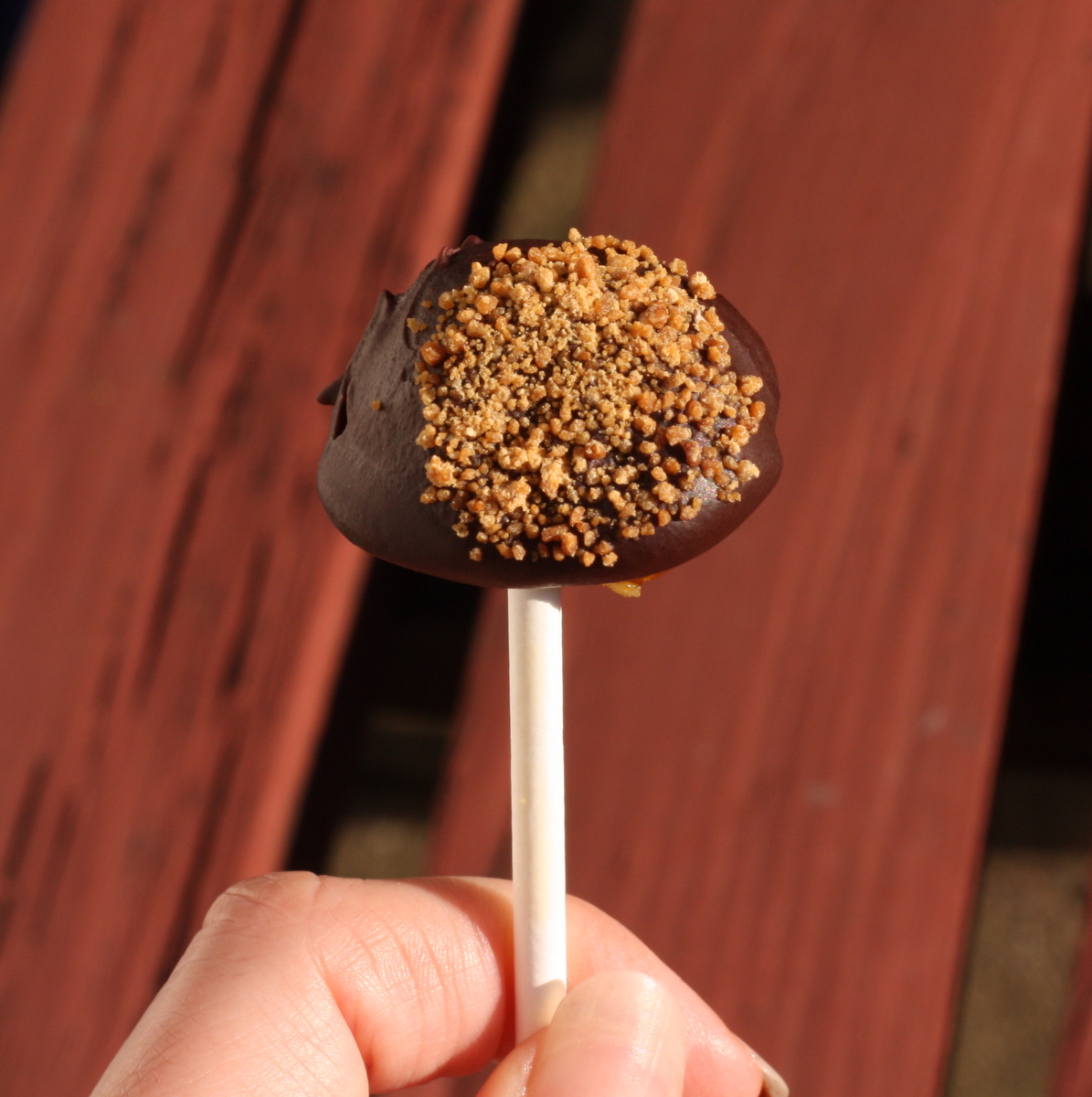 Raw Cacao Fudge Cake PopsVegan Mofo Day 22 Cooking and Recipes