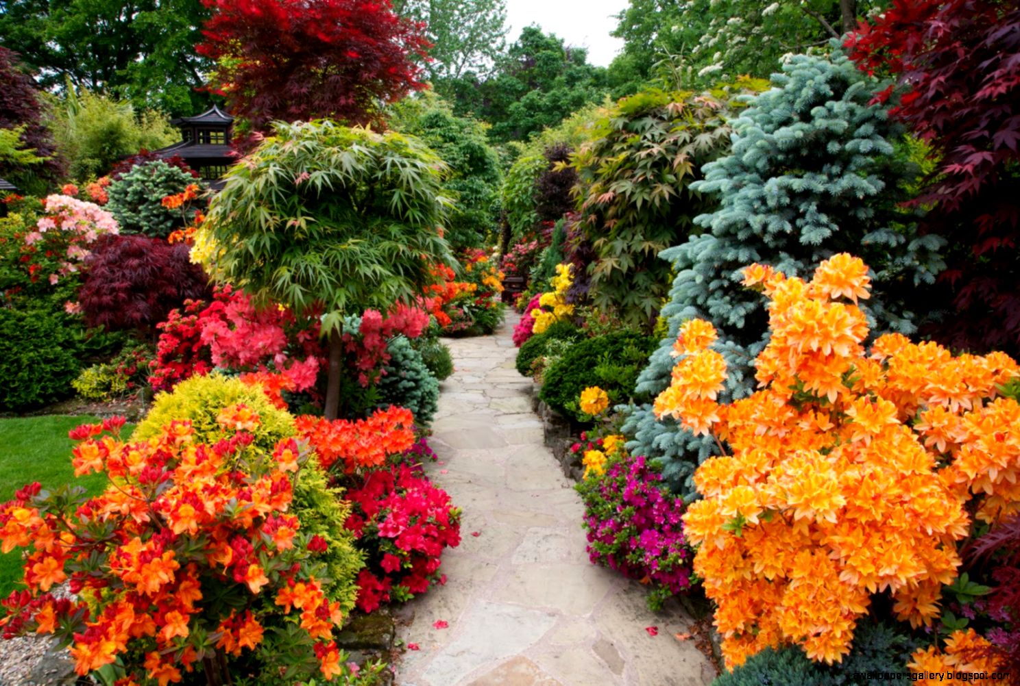 Most Beautiful Home Gardens In The World Most beautiful flower