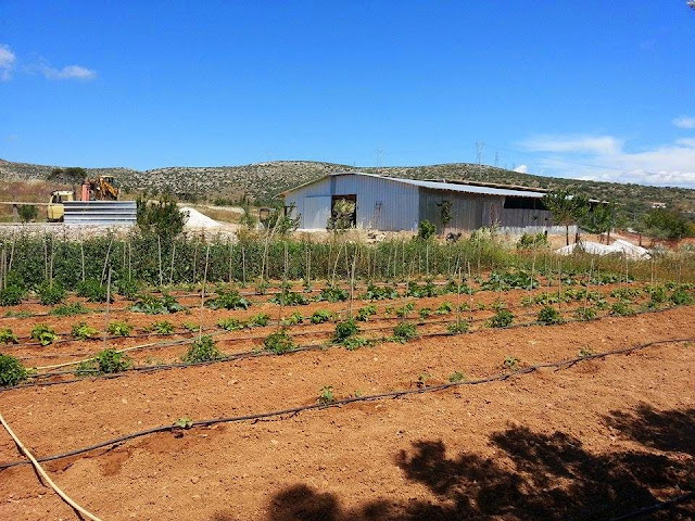 Μια μέρα στη φάρμα