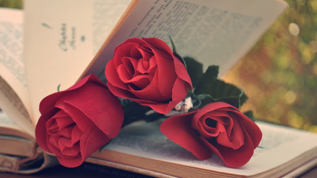 Tres rosas rojas en un libro