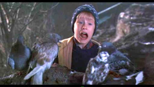 33+ Home Alone 2 Pigeon Lady Background
