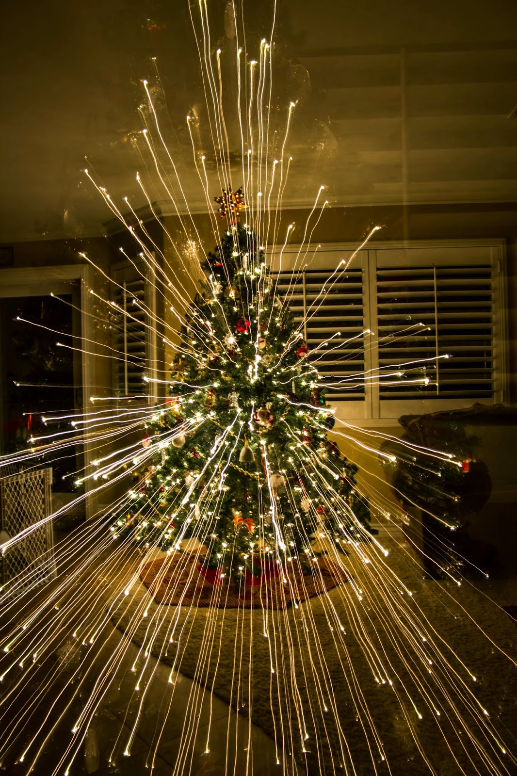 Christmas Ideas: Zoomed out while taking a picture of my Christmas tree