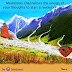 Meditation Channelises Energy