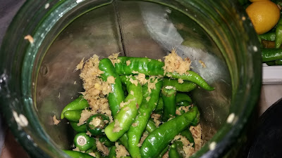 http://www.indian-recipes-4you.com/2017/09/without-oil-green-chilli-pickle-.html