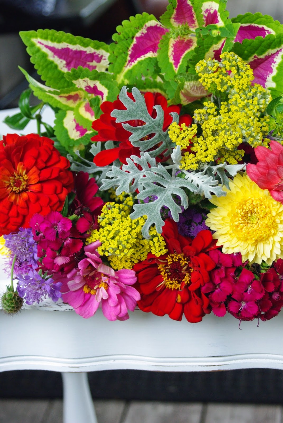 Local grown flowers Tallahassee Florist