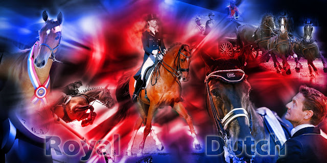 Paardenfotografie fotocollage paard Fotocollage laten maken