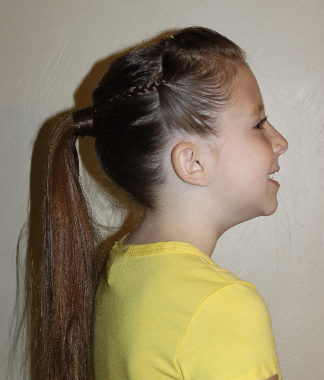 poof-braids-and-ponytail-beauty-hairstyles-2011-poof-braids-and