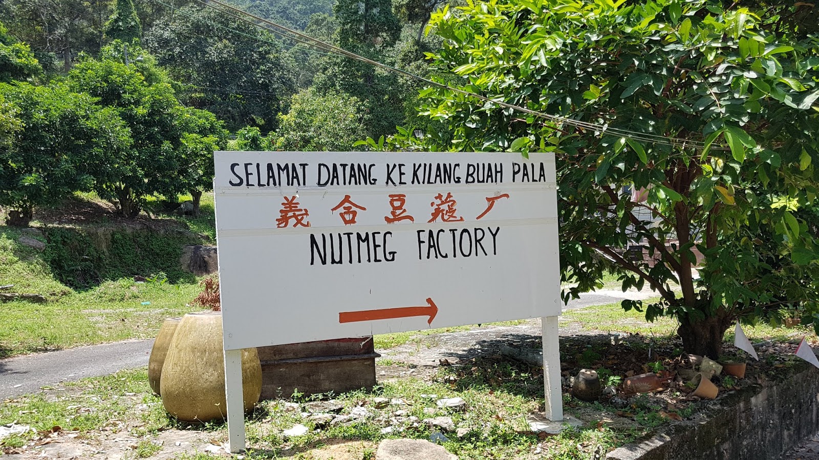 Kilang Buah Pala Ghee Hup, Balik Pulau, Penang