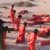 18 'ISIS Fighters' Shot In The Head From Point-blank Range During Mass Execution In Libya