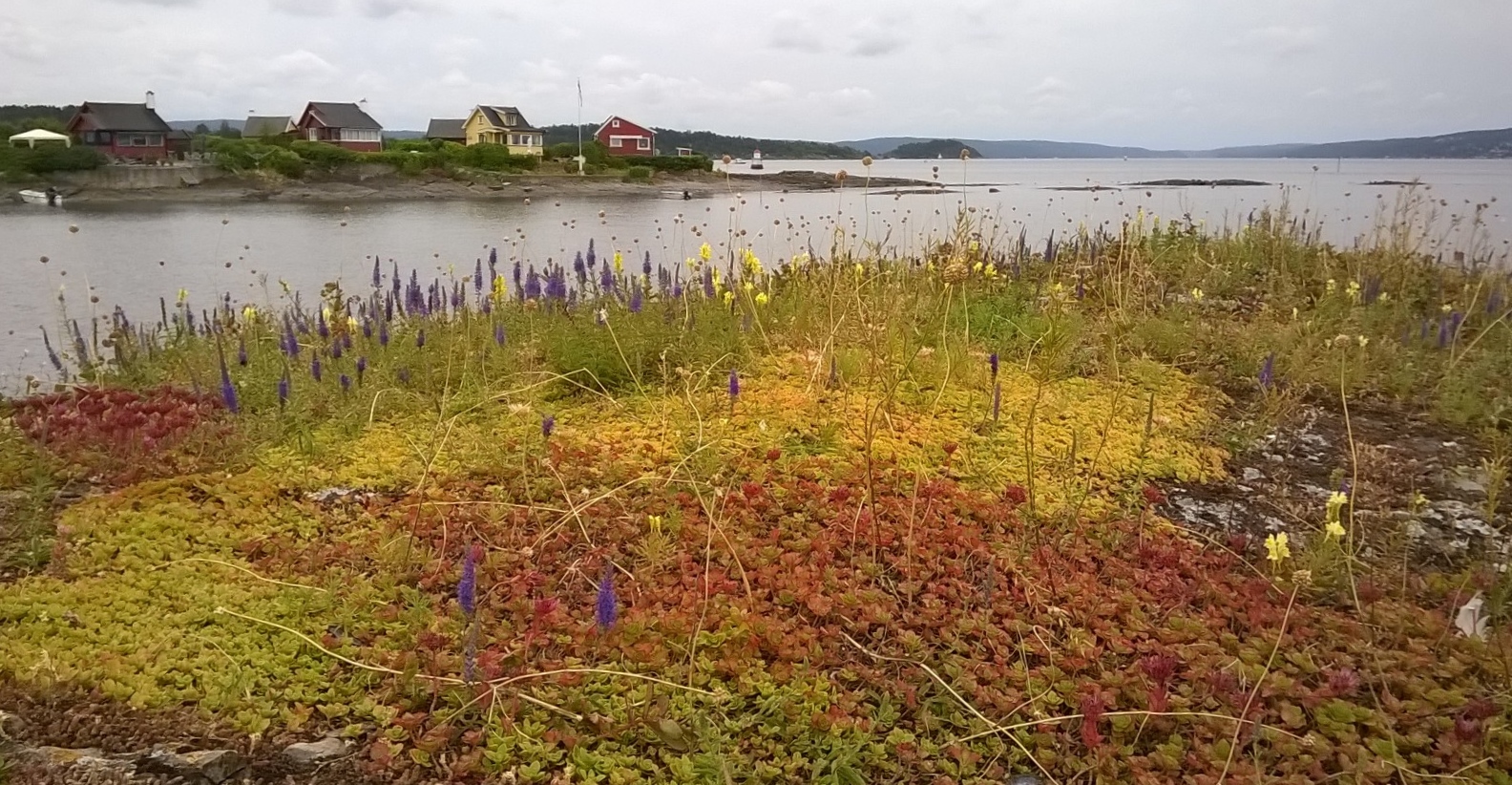 Mindenütt jóóó: Oslo szigetei: Hovedøya, Nakholmen, Lindøya - Oslo ...