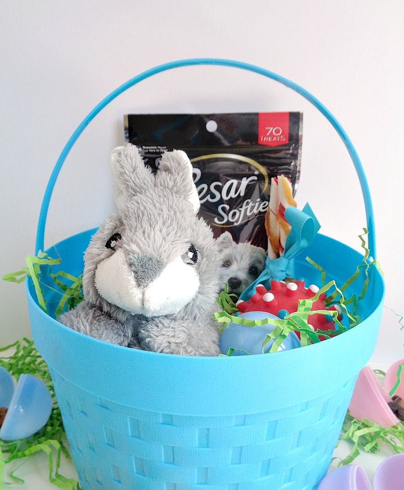 5 Tips For Creating Easter Baskets For Pets Running With A Glue Gun