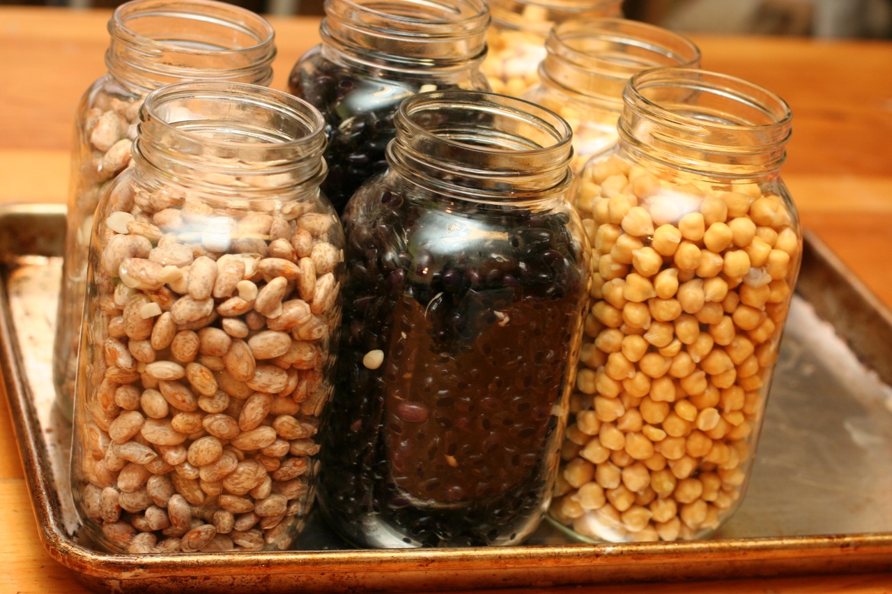 V E G A N D A D Pressure Canned Beans v-e-g-a-n-d-a-d-pressure-canned-beans